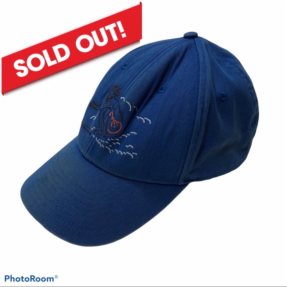 Patagonia Baseball Hat in Blue